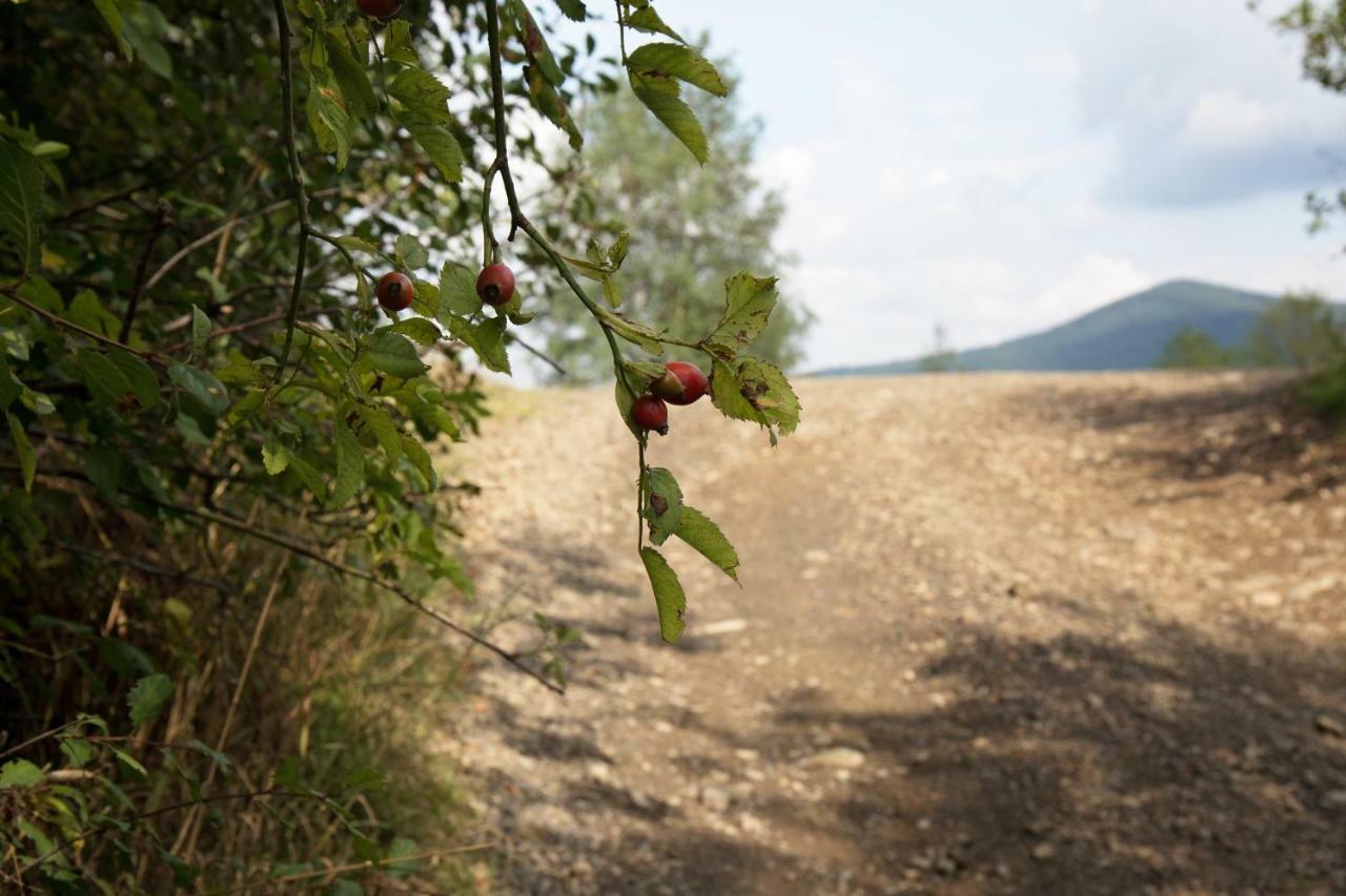 Ostoja Villa Rzyki Kültér fotó